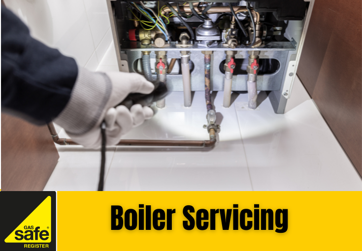boiler service Ashford
